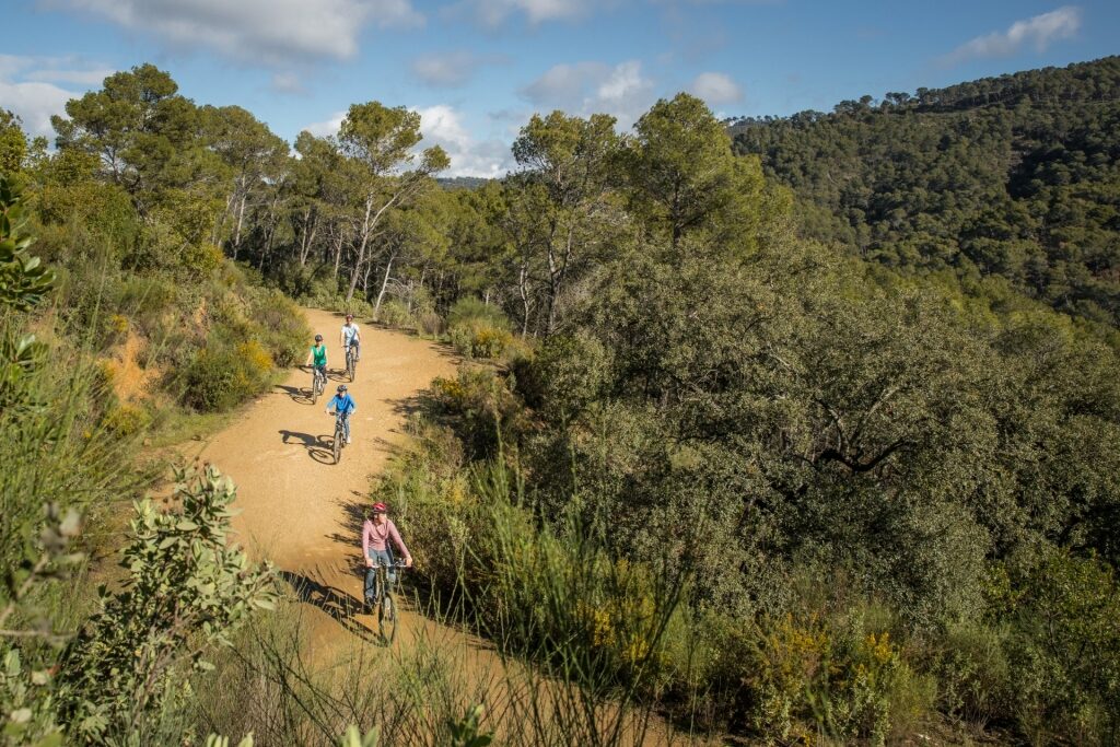 People biking in Montes de Málaga Natural Park