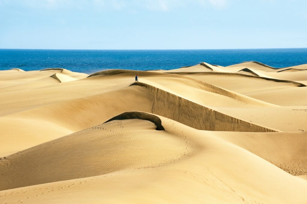 Sandy dunes of Maspalomas Natural Dune Reserve, Gran Canaria