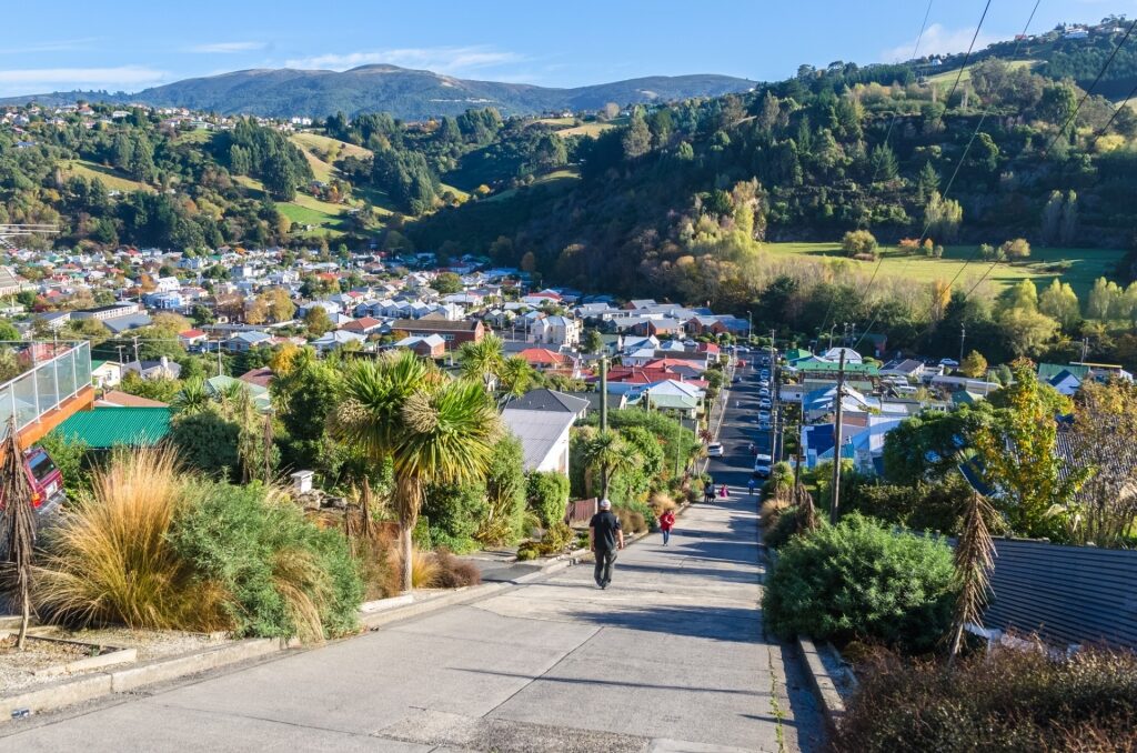 Steep road of Baldwin Street