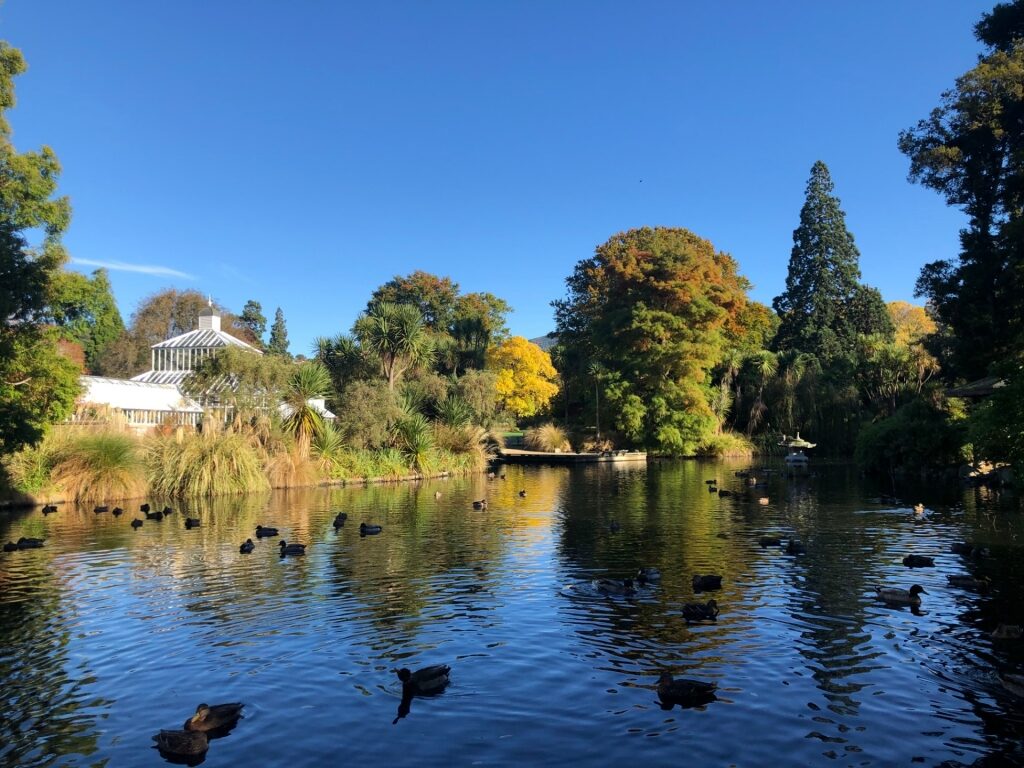 Lush landscape of Dunedin Botanical Garden with pond
