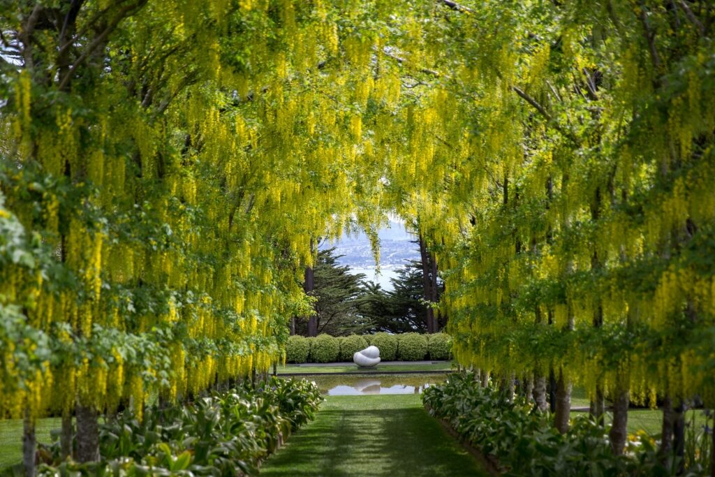 Lush garden of Larnach Castle