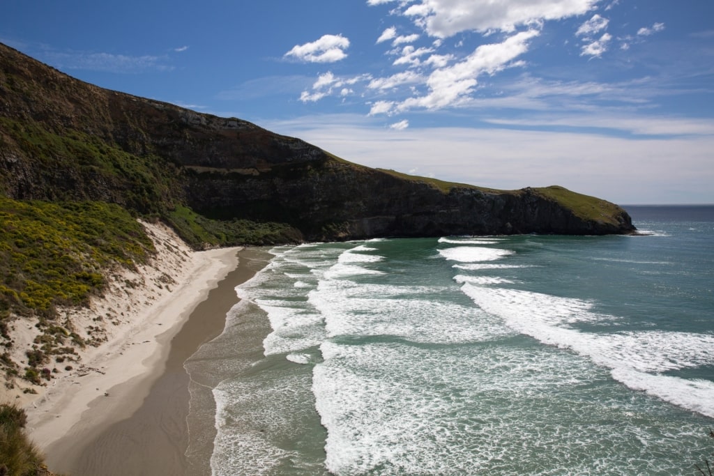 Large waves of Otago Peninsula