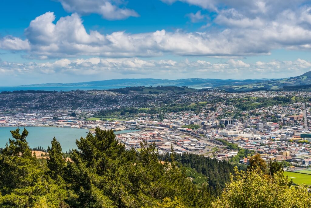 View from Signal Hill Lookout