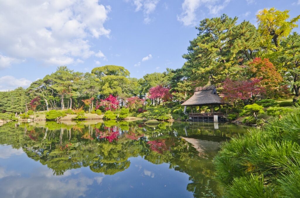 Lush landscape of Shukkei-en Garden