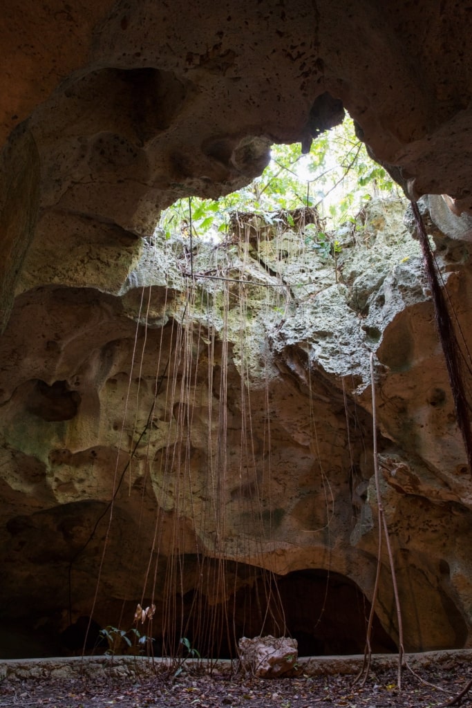 Rock formations inside the Green Grotto Caves