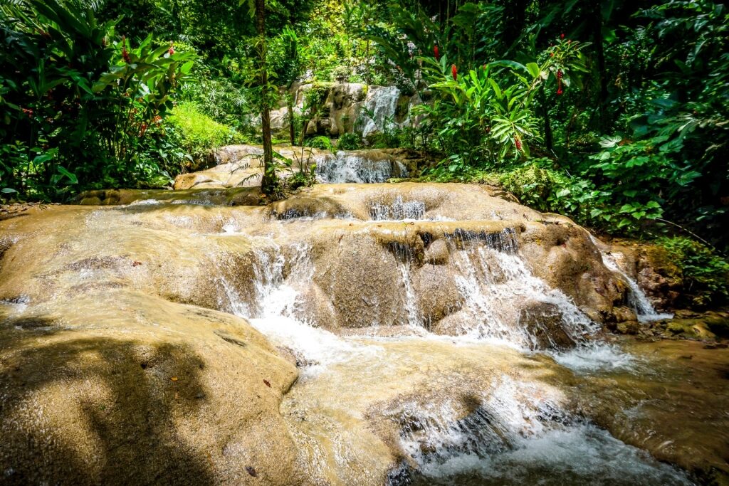 Clear water of Konoko Falls