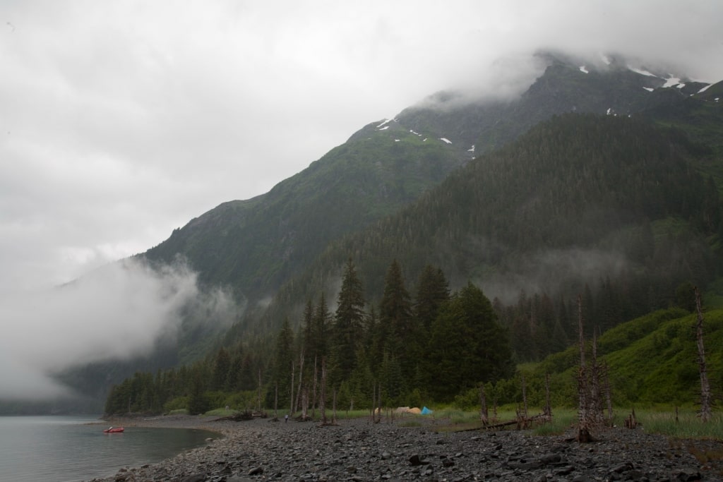 Foggy view of Black Sand Beach, Barry Arm, Prince William Sound