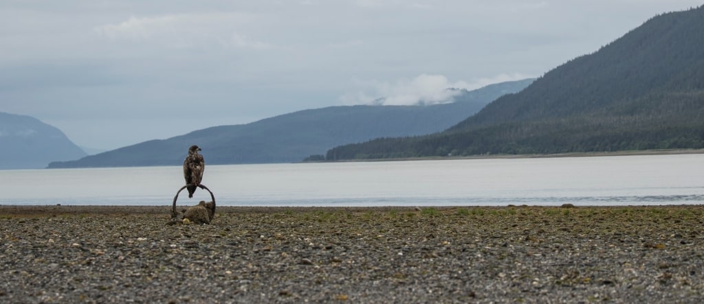 Eagle Beach, one of the best Alaska beaches