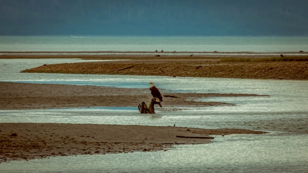 Shallow water of Eagle Beach, Juneau