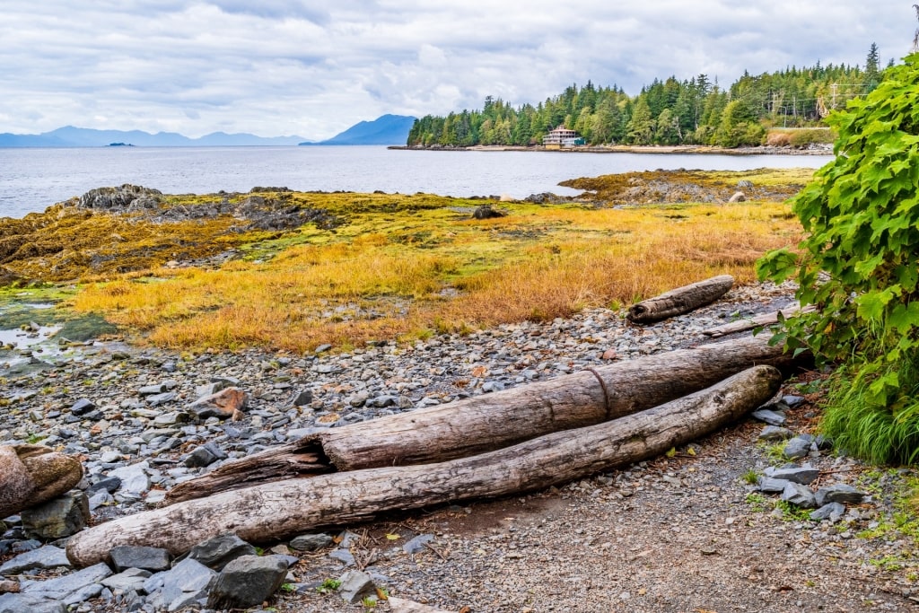 Rocky shoreline of Totem Bight State Historical Park, Ketchikan