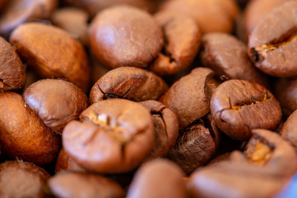 Azorean coffee beans