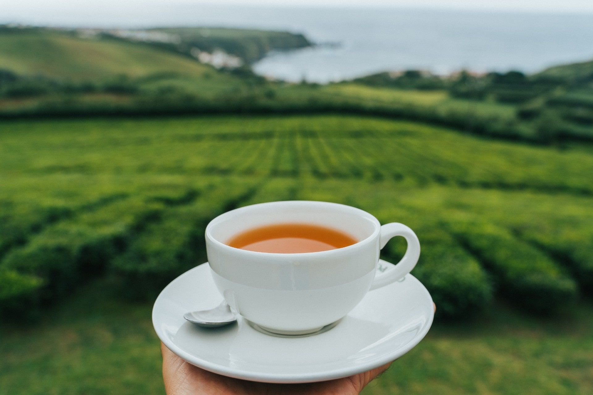 Azores Essentials Tea The Ultimate Azores Food Guide | Celebrity Cruises