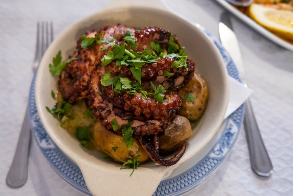 Bowl of Octopus stew