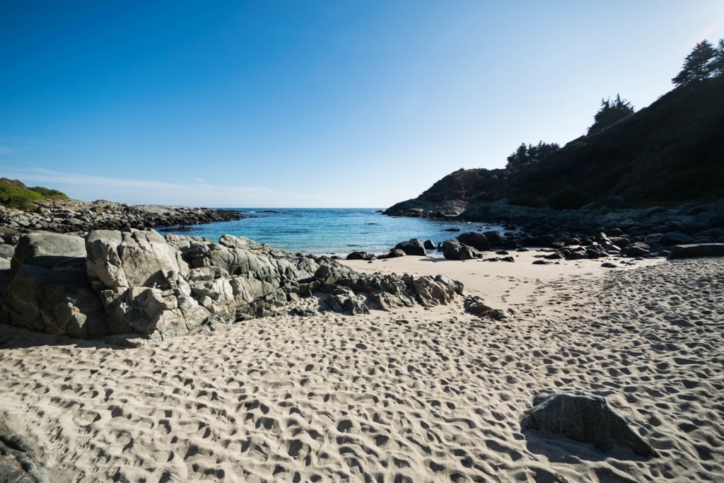 Sandy beach of Las Cujas, Zapallar 