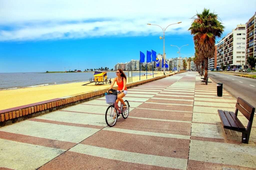 Boulevard along Playa de los Pocitos, Montevideo