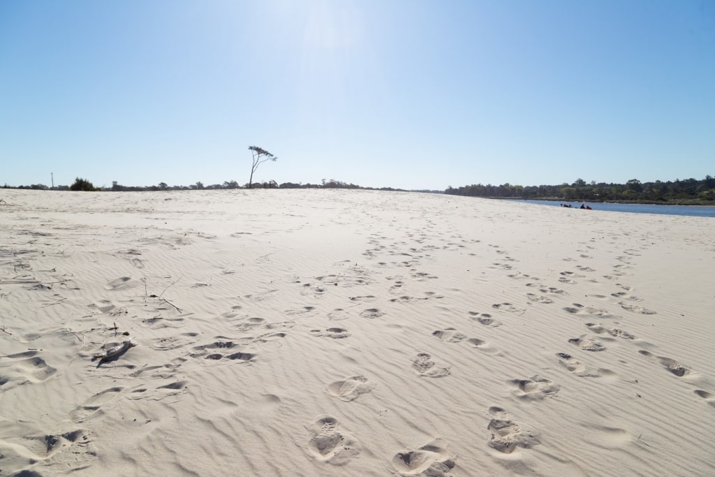 Fine sands of Playa El Pinar, Montevideo