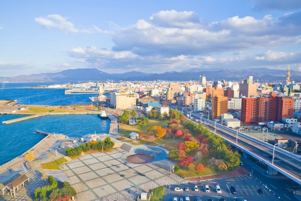 Aerial view of Aomori