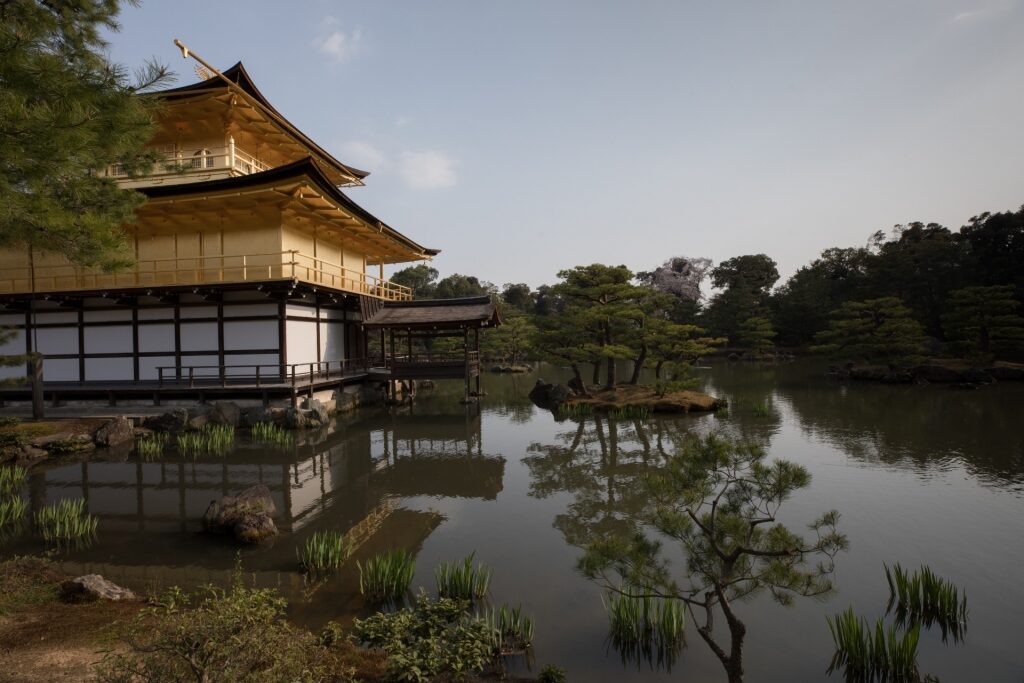 Lush landscape of Golden Pavilion in Kyoto