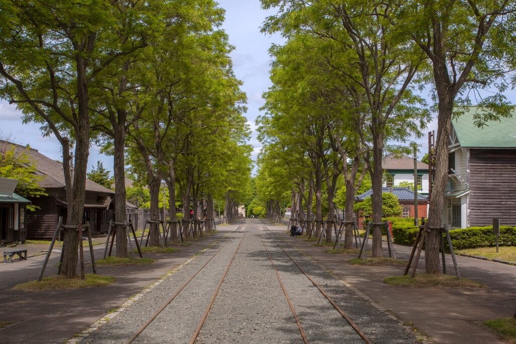 Street view of Historic Village of Hokkaido
