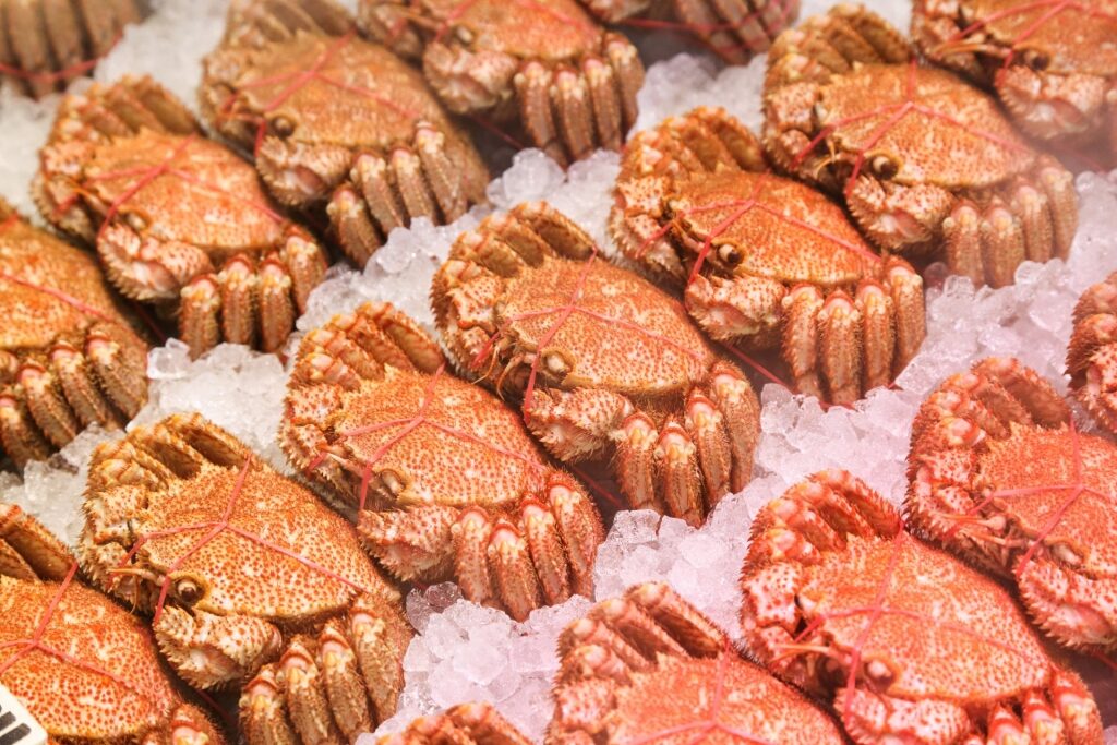 Hairy crabs at a market in Sapporo
