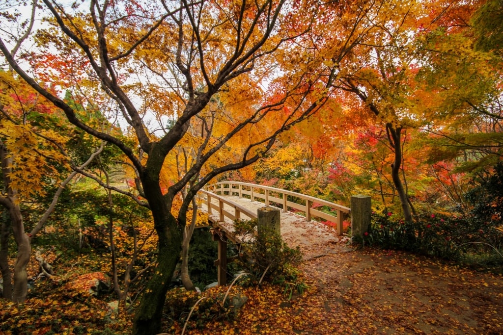 View of Sankeien Garden in autumn