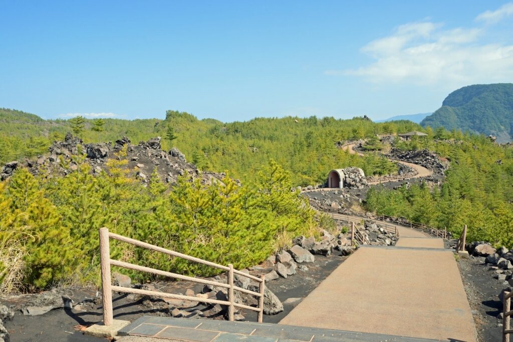 Pathway in Arimura Lava Observatory, Kagoshima