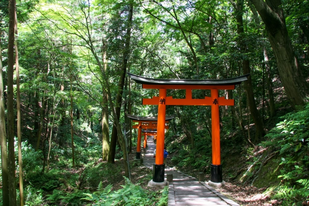 Torii gates of Fushimi-Inari, Kyoto