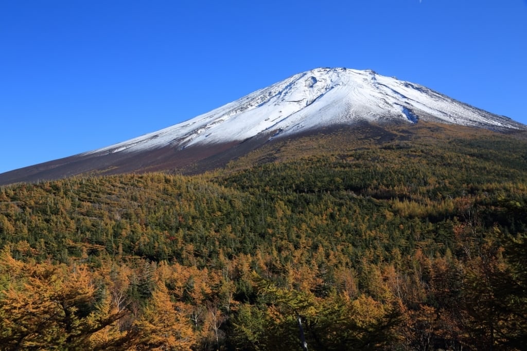 View of Mt Fuji from 5th Station, Shimizu