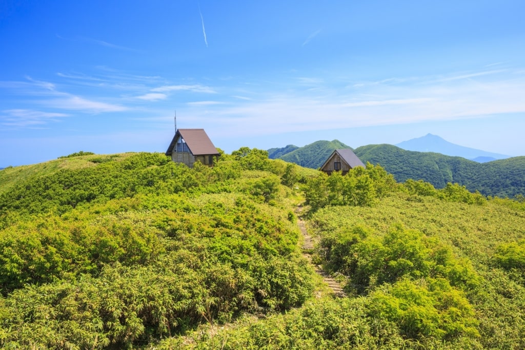 Lush landscape of Shirakami-Sanchi Forest, Aomori