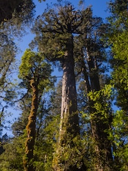 10 Best Places For Hiking In Chile Celebrity Cruises 10 Best Places For Hiking In Chile Celebrity Cruises
