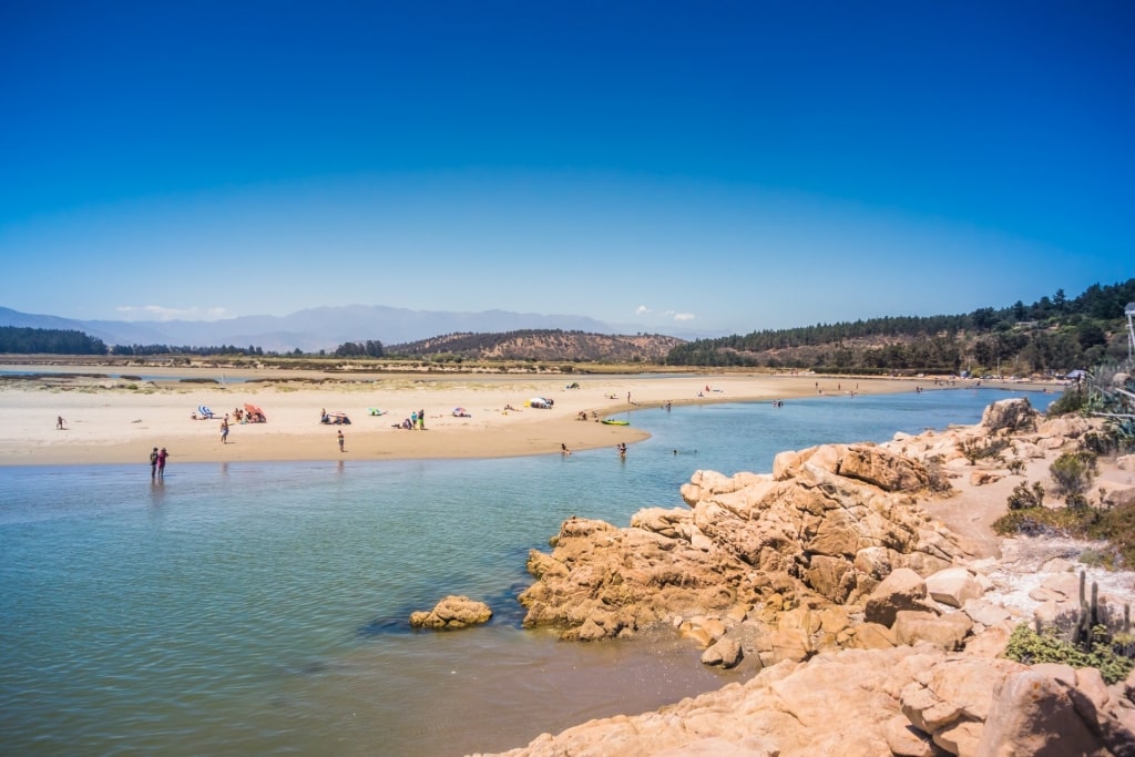 Fine sandy beach of Playa Las Salinas, Chile