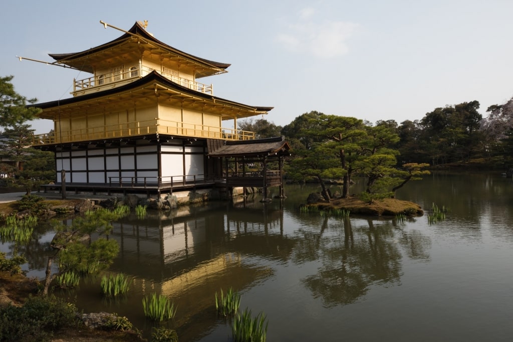 Lush landscape of Golden Pavilion in Kyoto