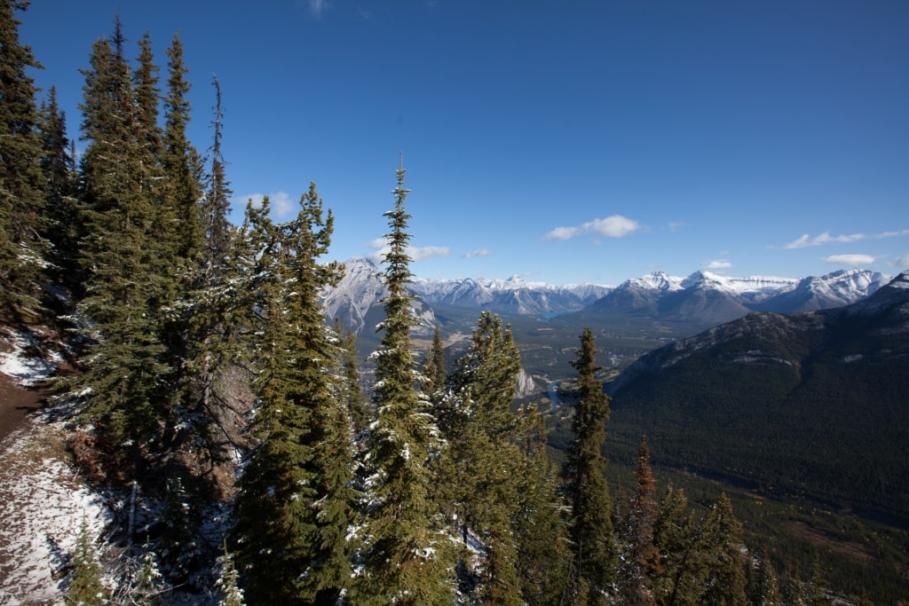 Lush landscape of Banff Springs