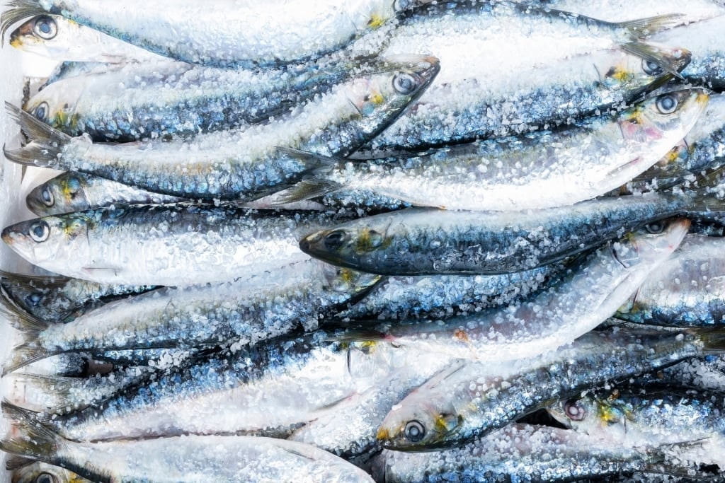 Sardines at a market in Corsica