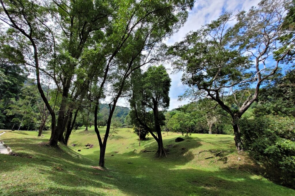 Lush landscape of Penang Botanical Gardens