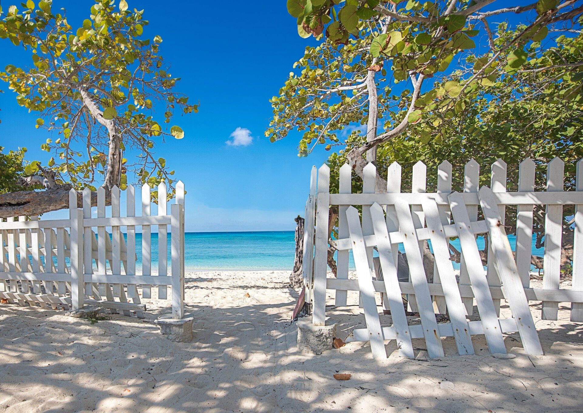 10 Best Beaches in Grand Cayman Celebrity Cruises