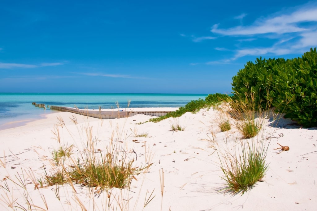 White sands of Rum Point, North Side