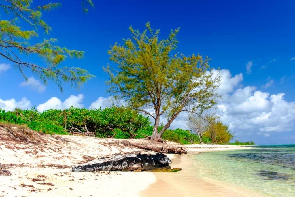 White sands of West Bay Beach, Seven Mile Beach