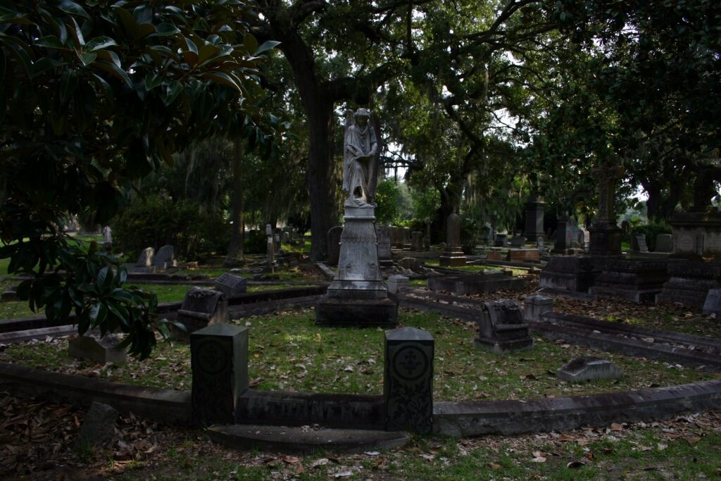 Creepy view of Magnolia Cemetery