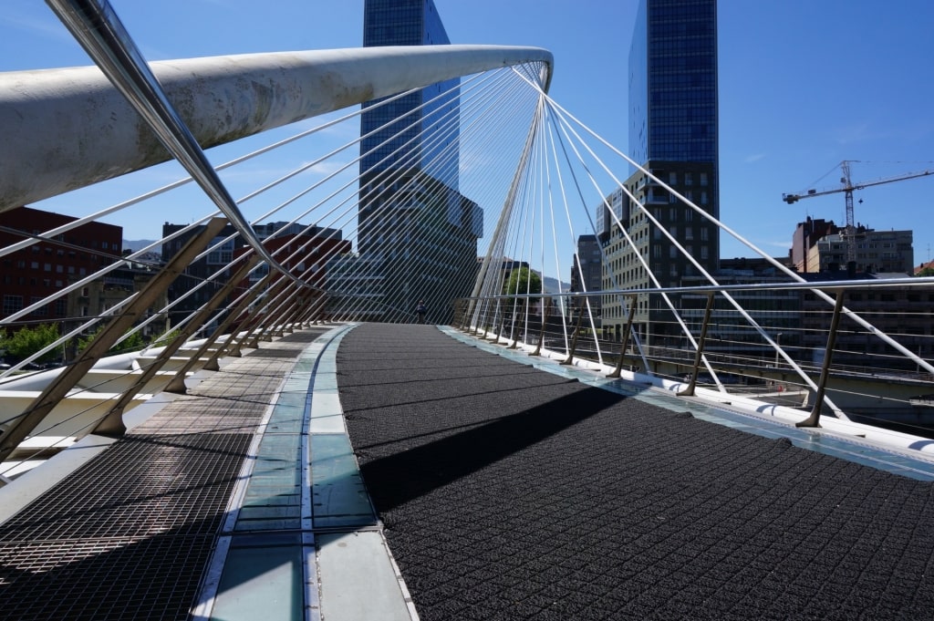 View while walking the Zubizuri Bridge