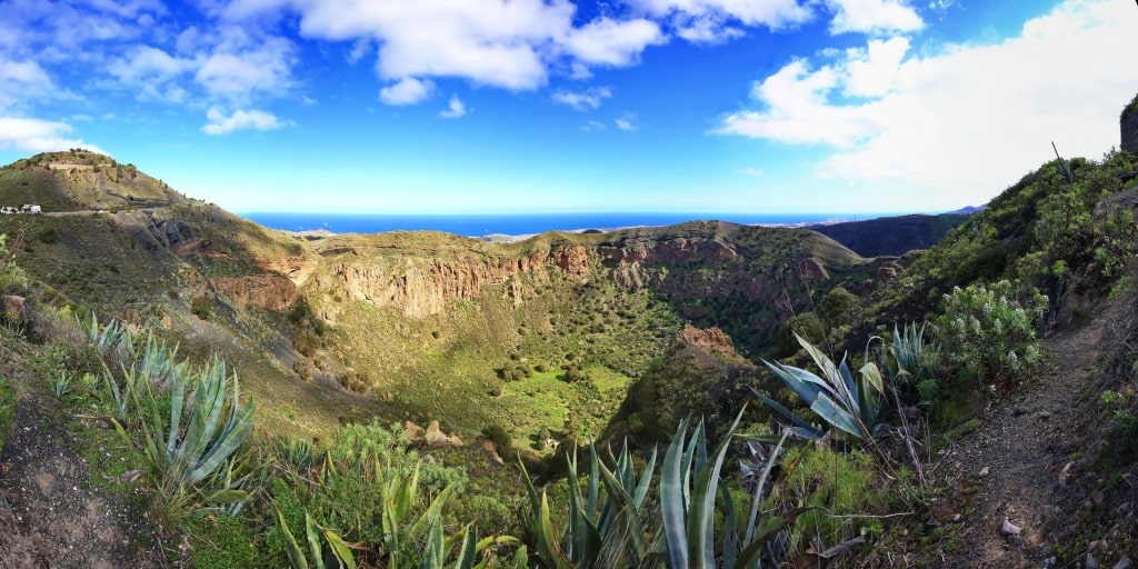 Crater of Bandama Caldera