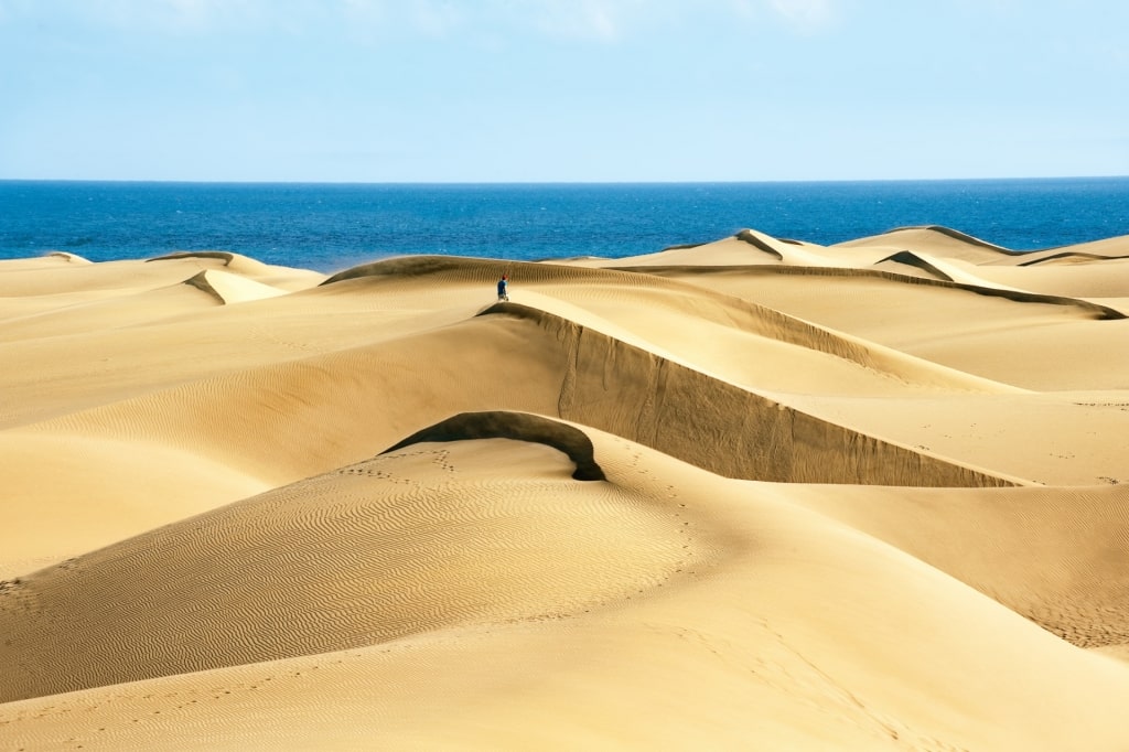 Visit Maspalomas Dunes Nature Reserve, one of the best things to do in Gran Canaria