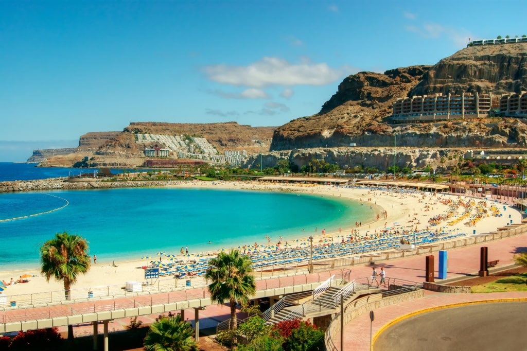 Busy waterfront of Playa de Amadores