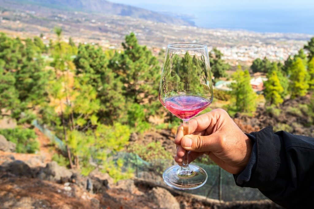 Wine in Gran Canaria