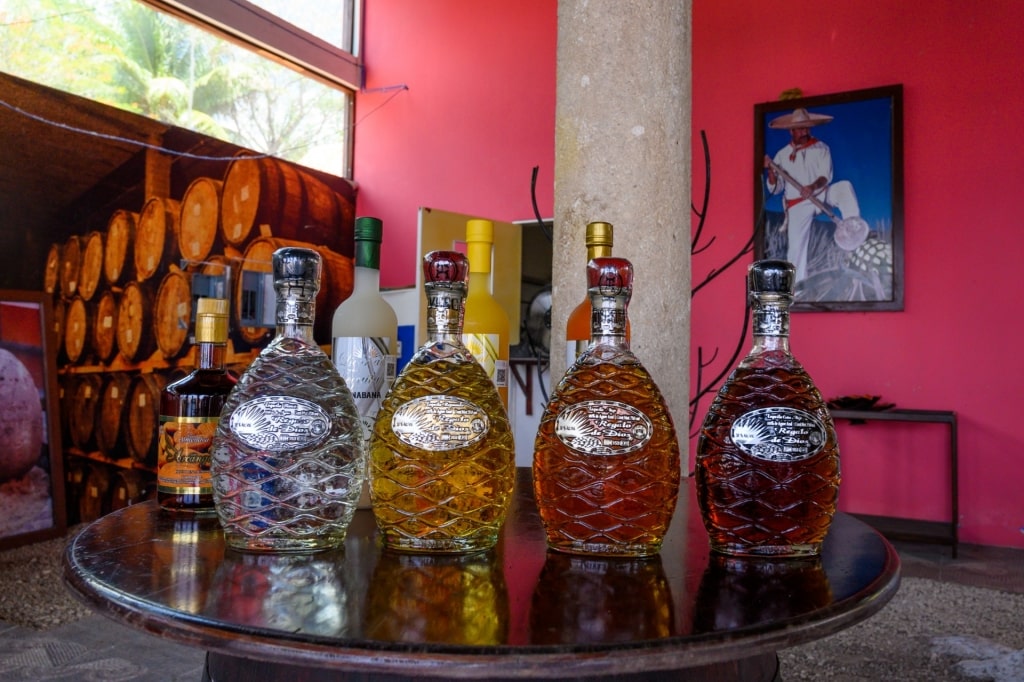 Bottles of tequila