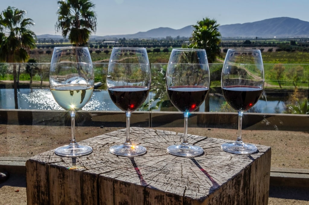 Glasses of Ensenada wine