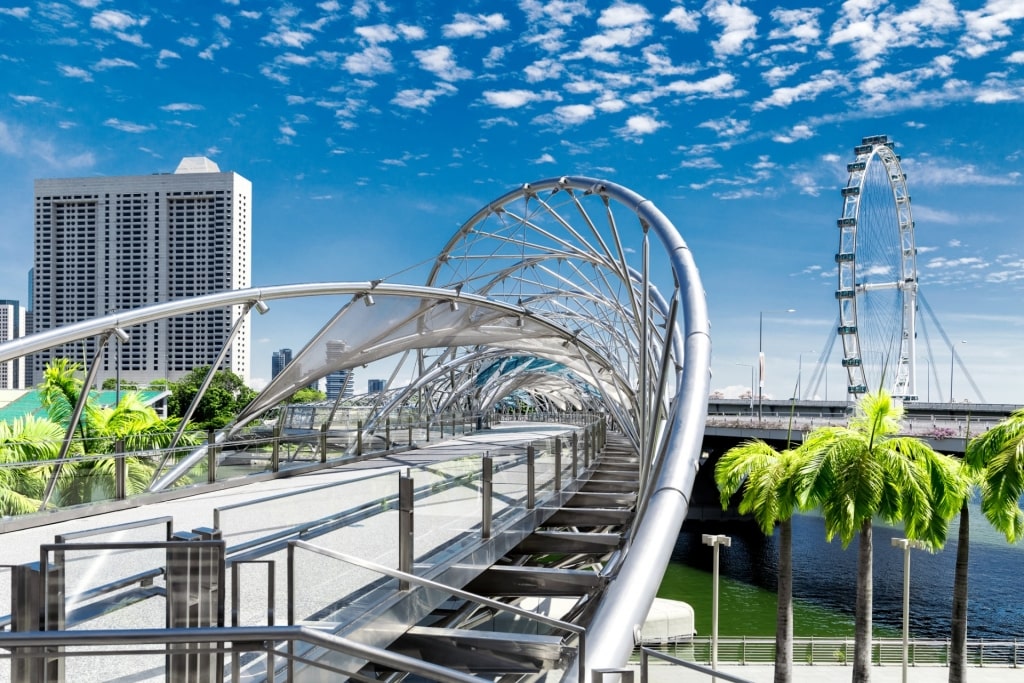 View from the Helix Bridge