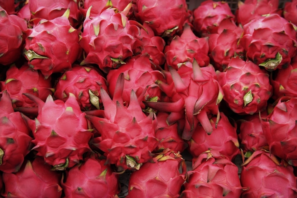 Dragonfruit at a market