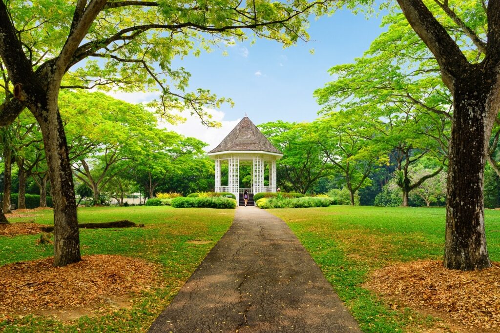 Lush landscape of Botanic Gardens