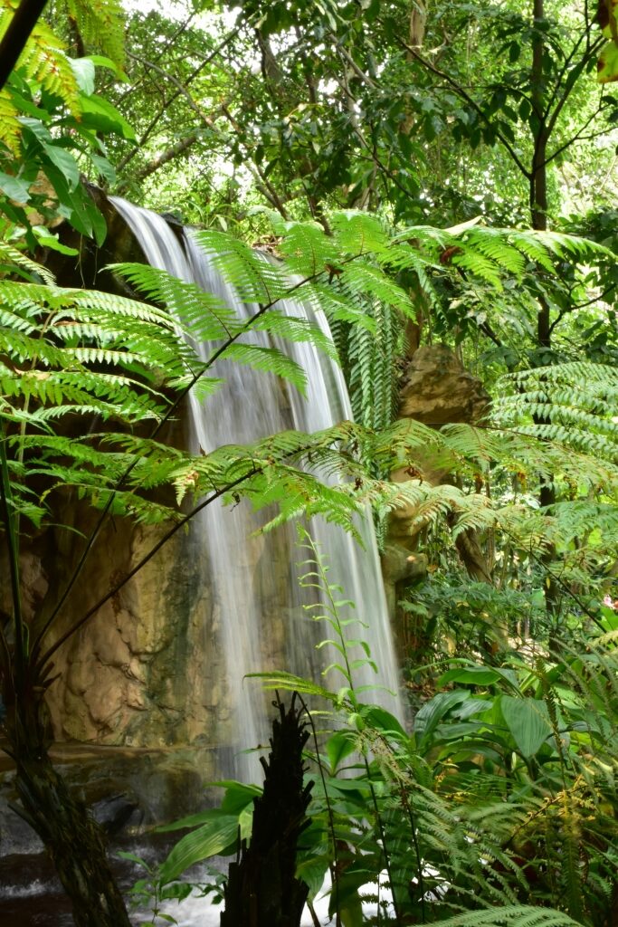 Waterfalls from the Singapore Botanic Gardens